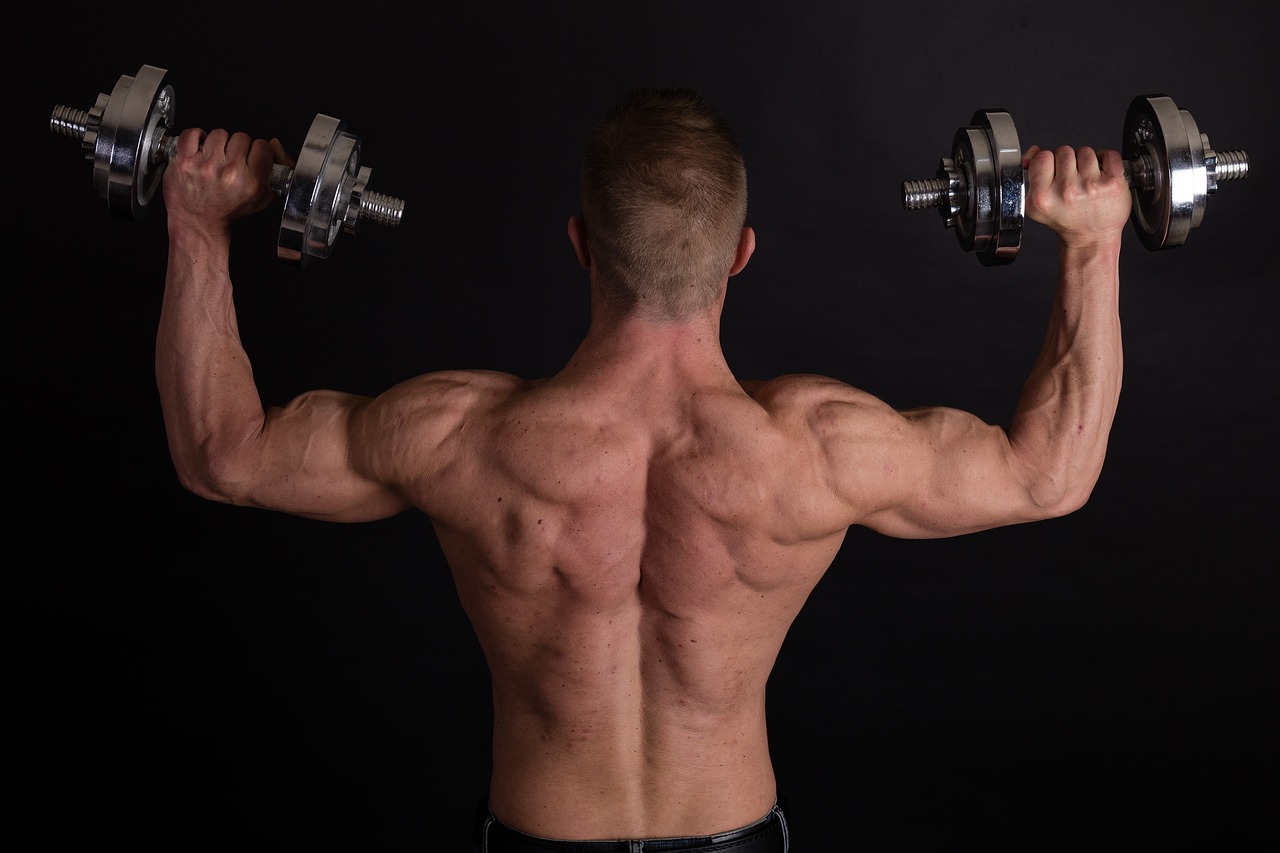 Vous pouvez prendre du muscle avec des protéines